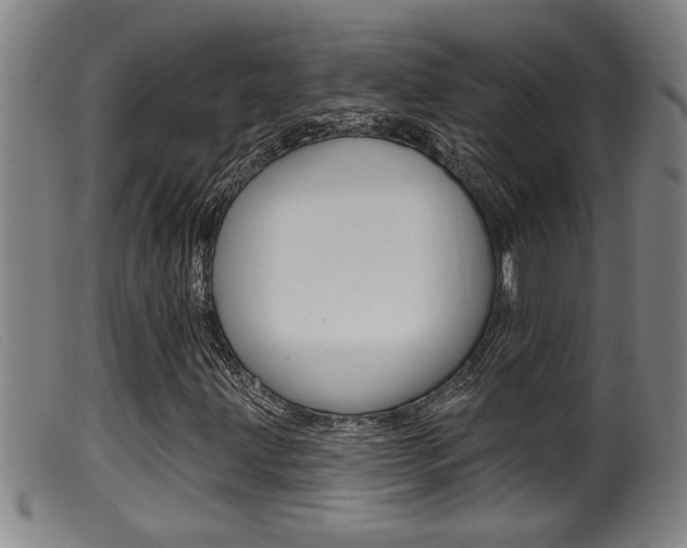 X0000099951203200805230953