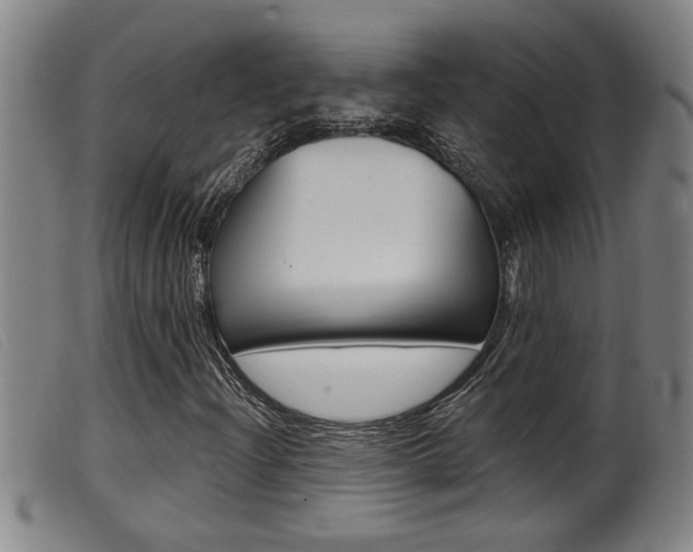 X0000099951204200805230953