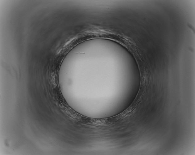 X0000099951205200805230953