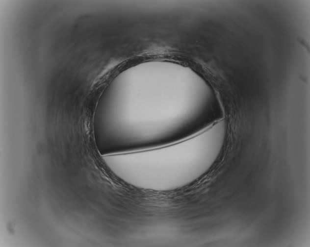 X0000099951206200805230953