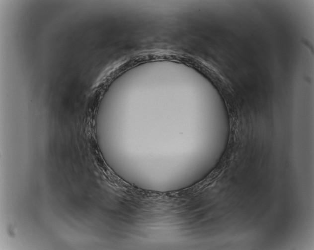 X0000099951207200805230953