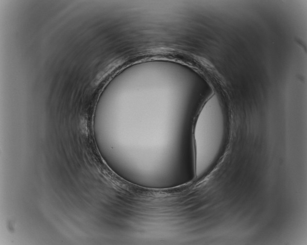 X0000099951209200805230953