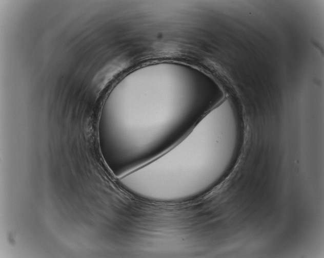 X0000099951210200805230953