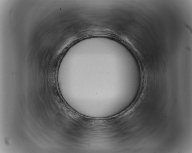 X0000099951211200805230953
