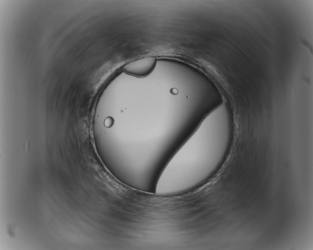 X0000099951212200805230953