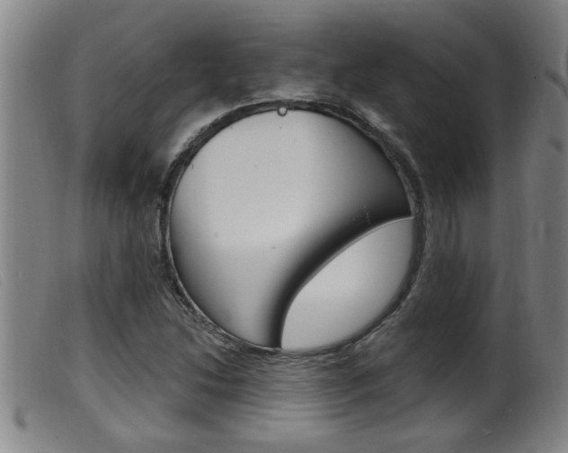 X0000099951214200805230953