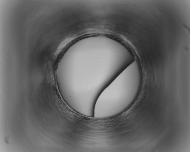 X0000099951215200805230953