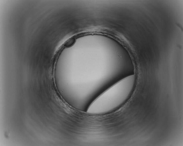 X0000099951216200805230953