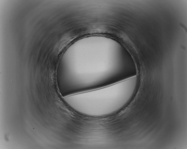 X0000099951217200805230953