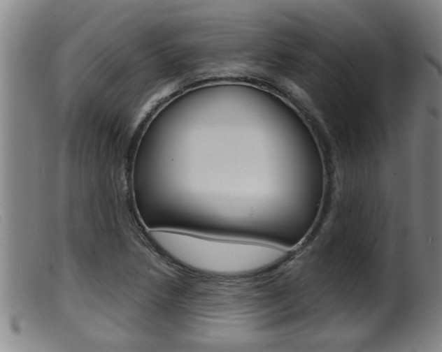 X0000099951218200805230953