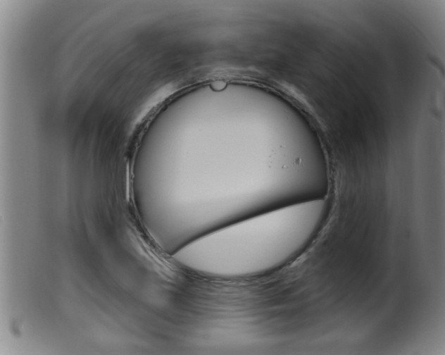X0000099951219200805230953