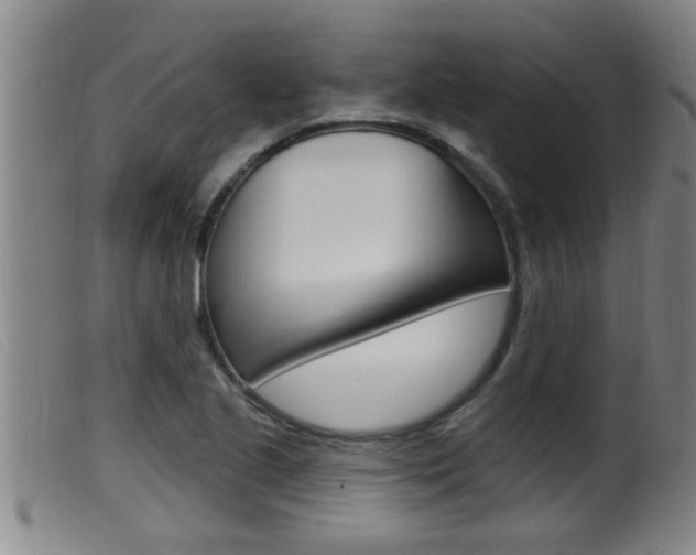 X0000099951221200805230953