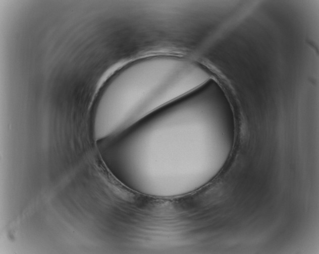 X0000099951222200805230953