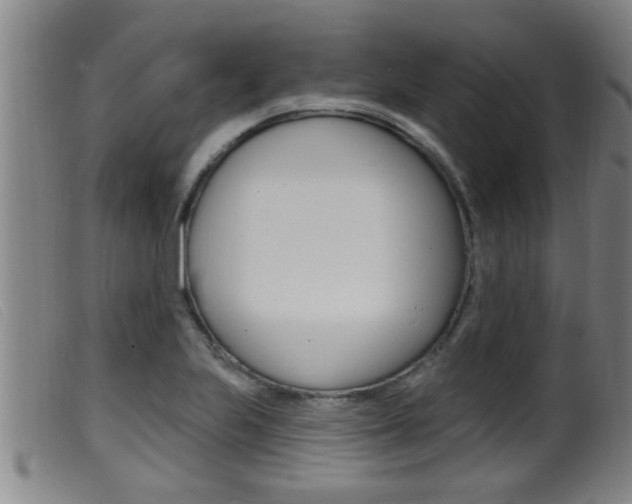X0000099951223200805230953