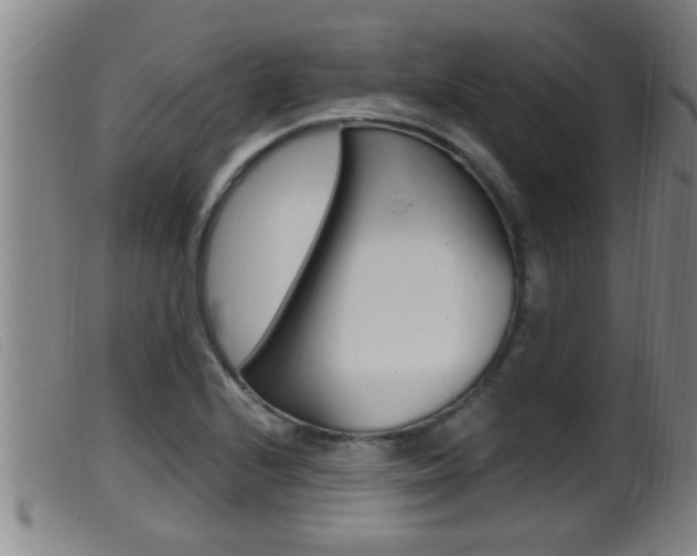 X0000099951224200805230953