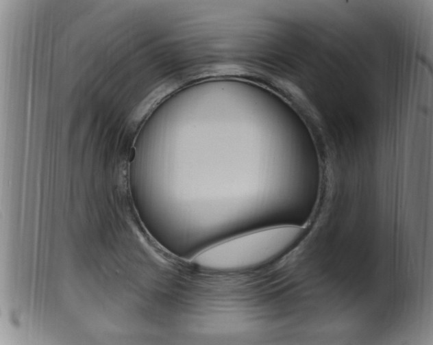 X0000099951225200805230953