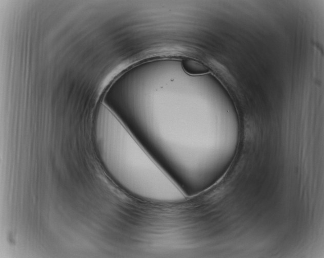 X0000099951226200805230953