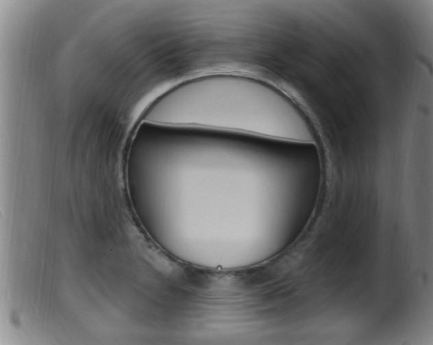 X0000099951230200805230953
