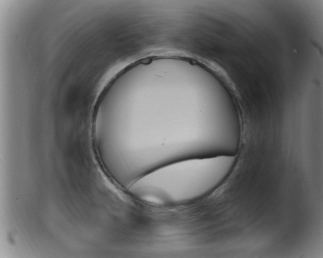 X0000099951231200805230953