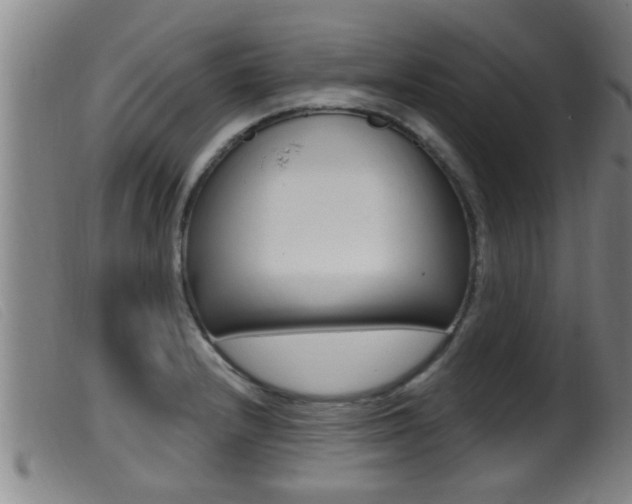 X0000099951232200805230953