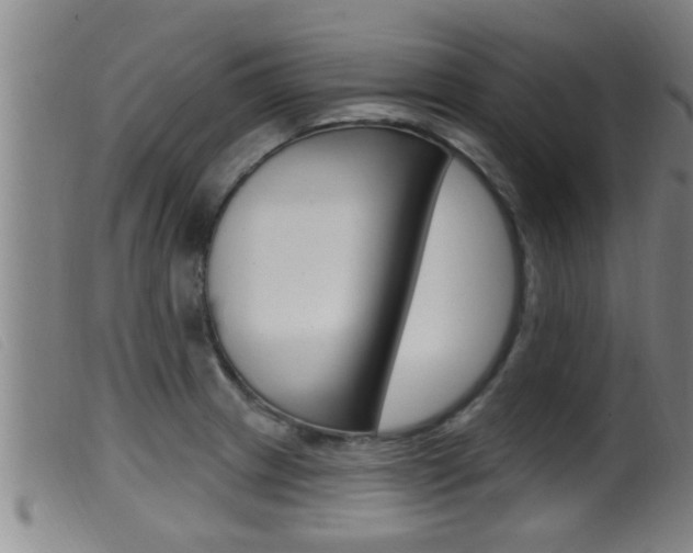 X0000099951233200805230953