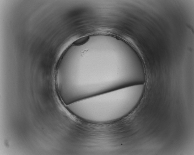 X0000099951235200805230954