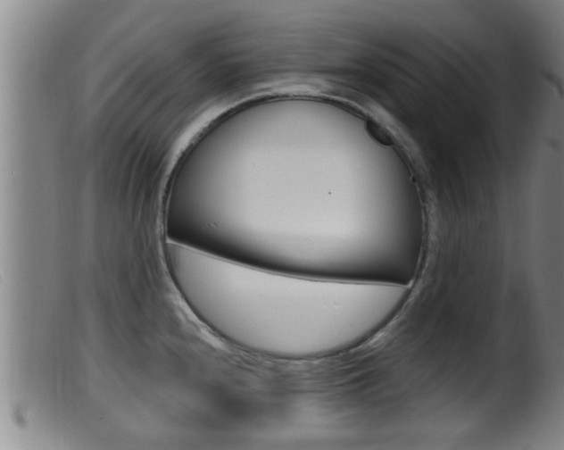 X0000099951240200805230954