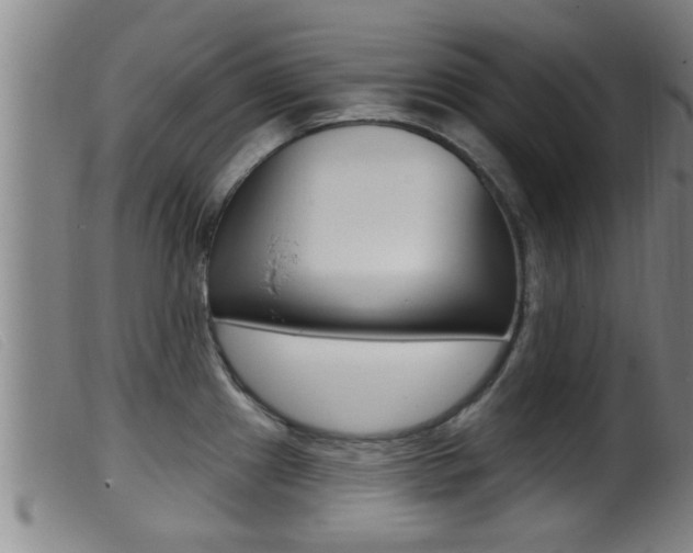 X0000099951241200805230954