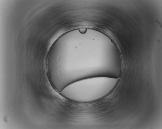 X0000099951243200805230954