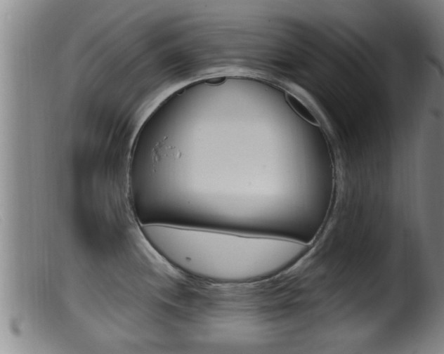 X0000099951244200805230954
