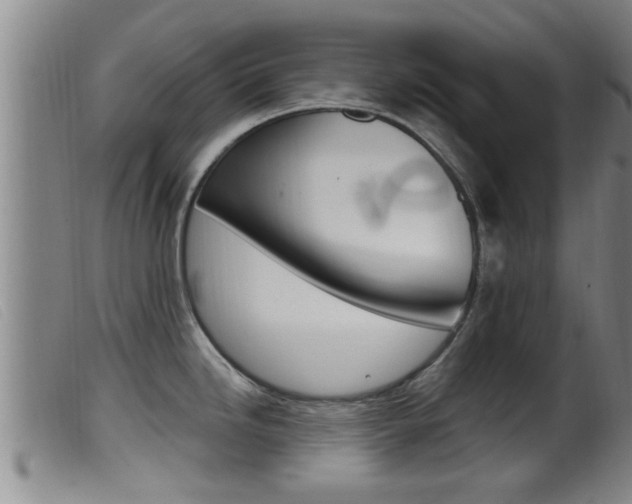 X0000099951246200805230954