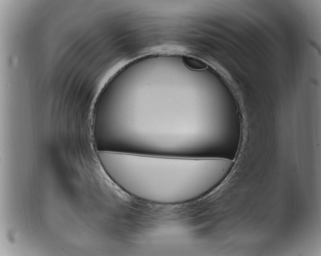 X0000099951248200805230954