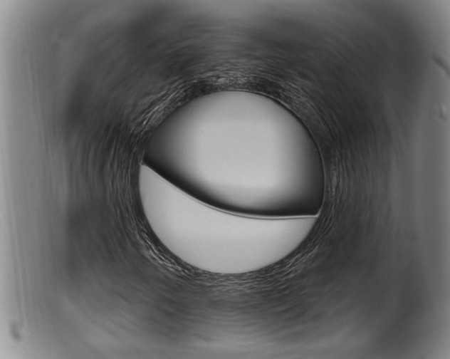 X0000099951250200805230953