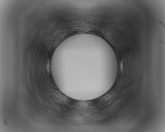 X0000099951251200805230953