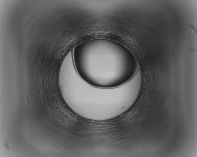 X0000099951252200805230953