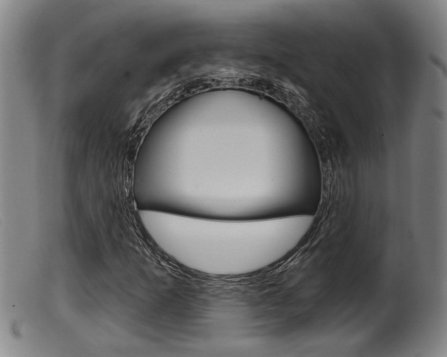 X0000099951253200805230953