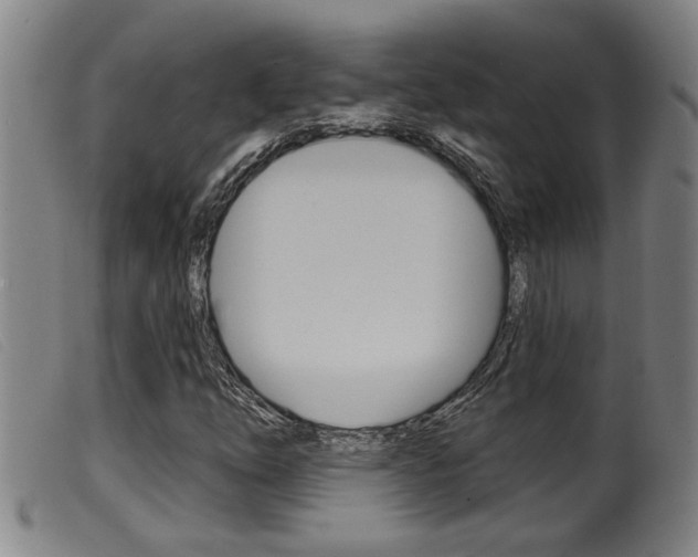 X0000099951254200805230953