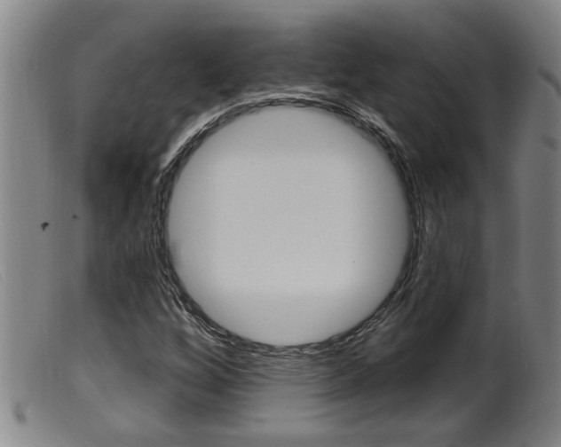 X0000099951256200805230953
