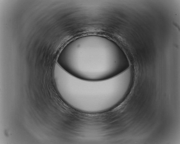 X0000099951257200805230953