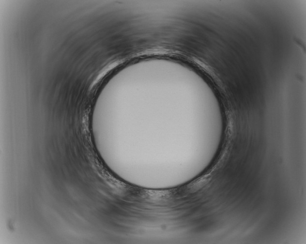 X0000099951258200805230953