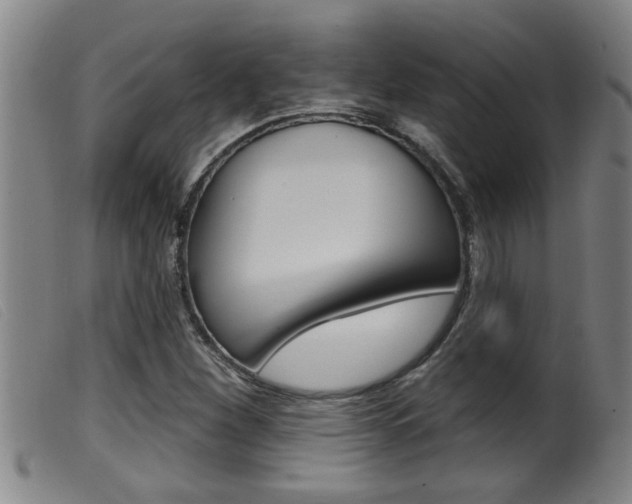 X0000099951260200805230953