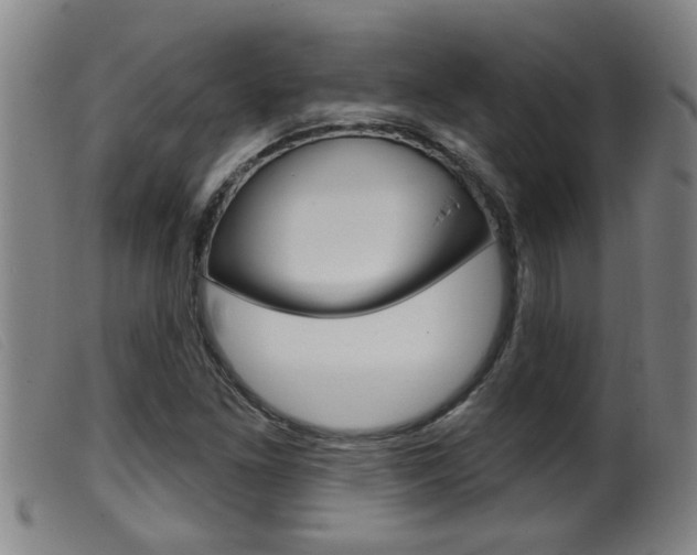 X0000099951261200805230953