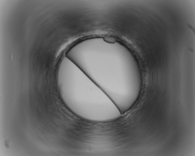 X0000099951262200805230953