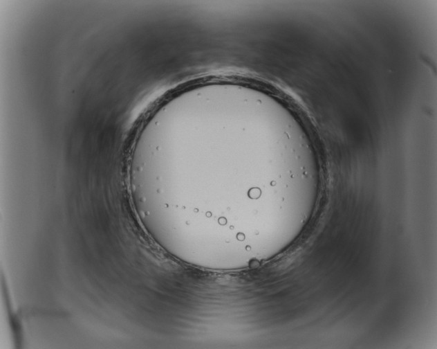 X0000099951263200805230953