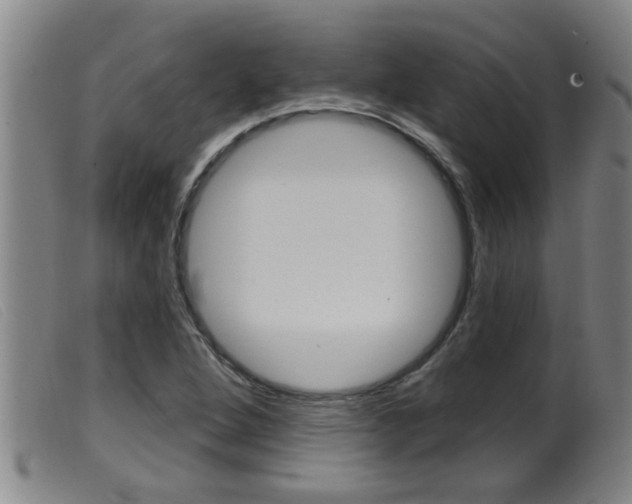 X0000099951264200805230953