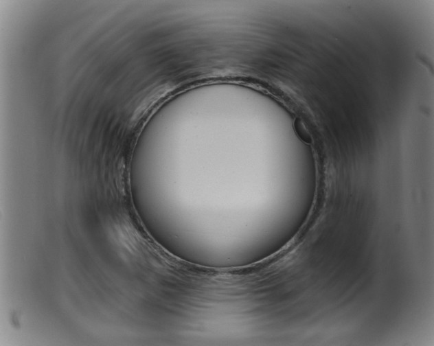 X0000099951265200805230953
