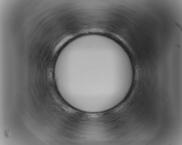 X0000099951266200805230953