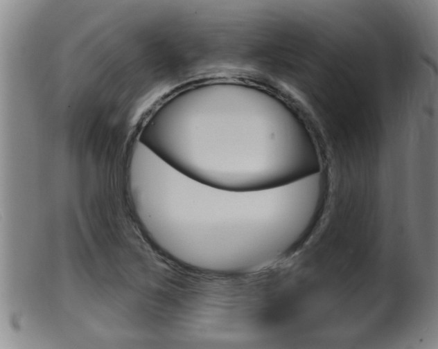 X0000099951267200805230953