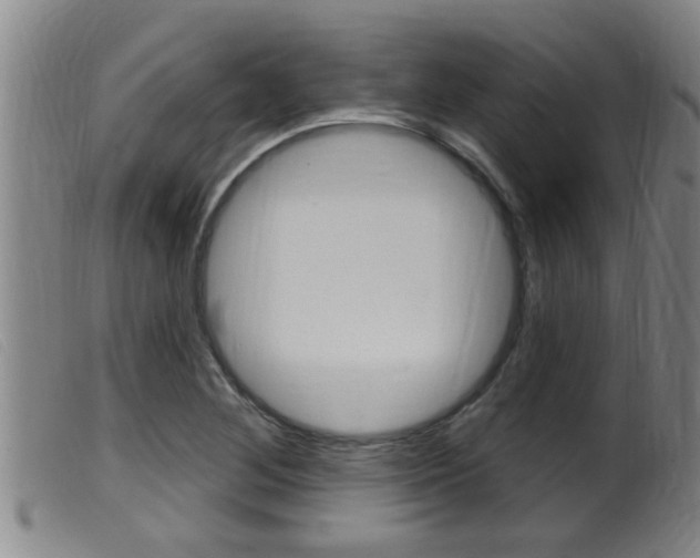 X0000099951268200805230953