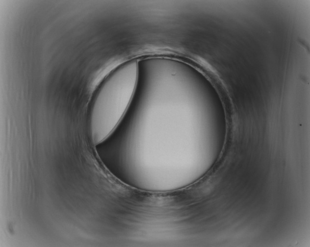 X0000099951269200805230953